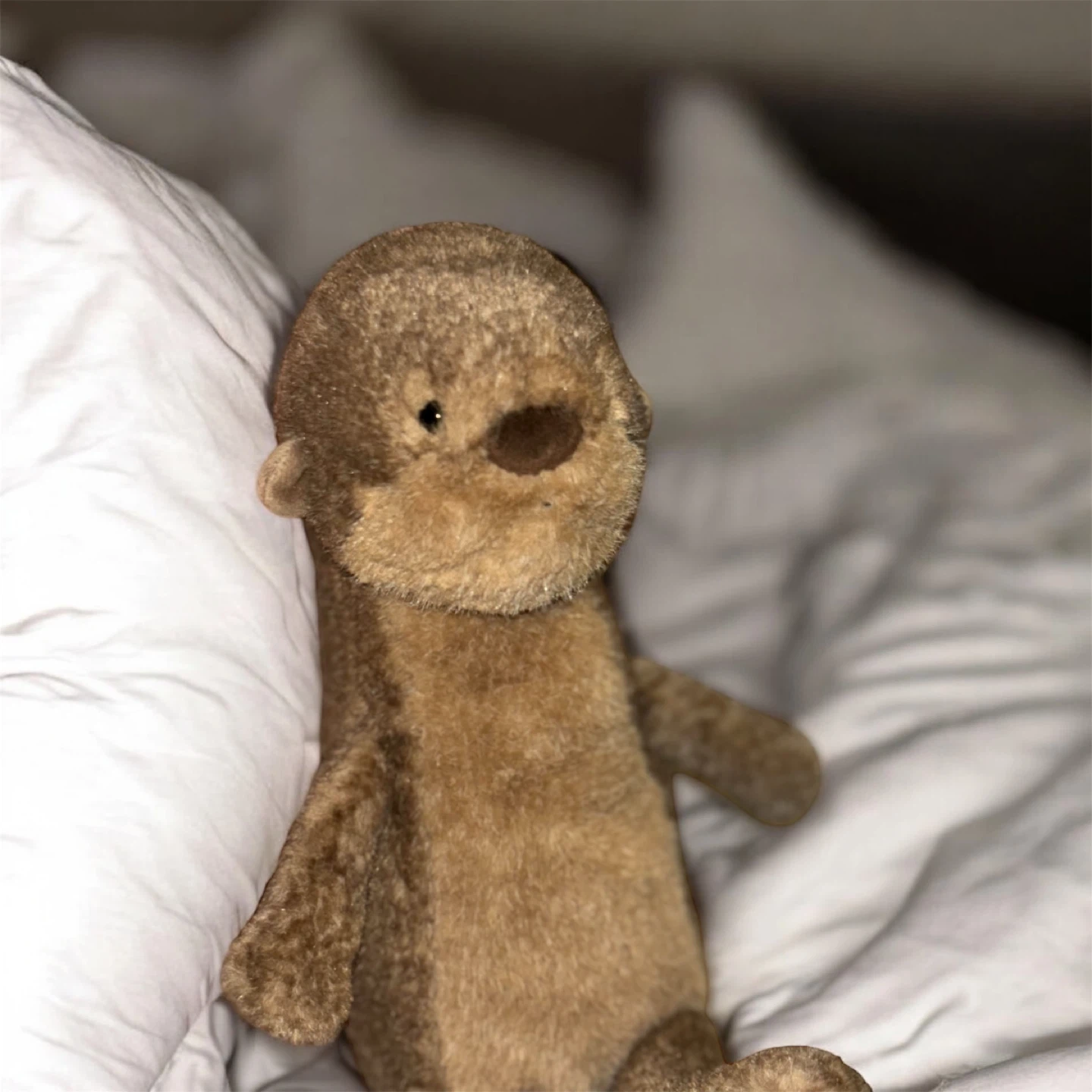 Brooke Otter Jellycat