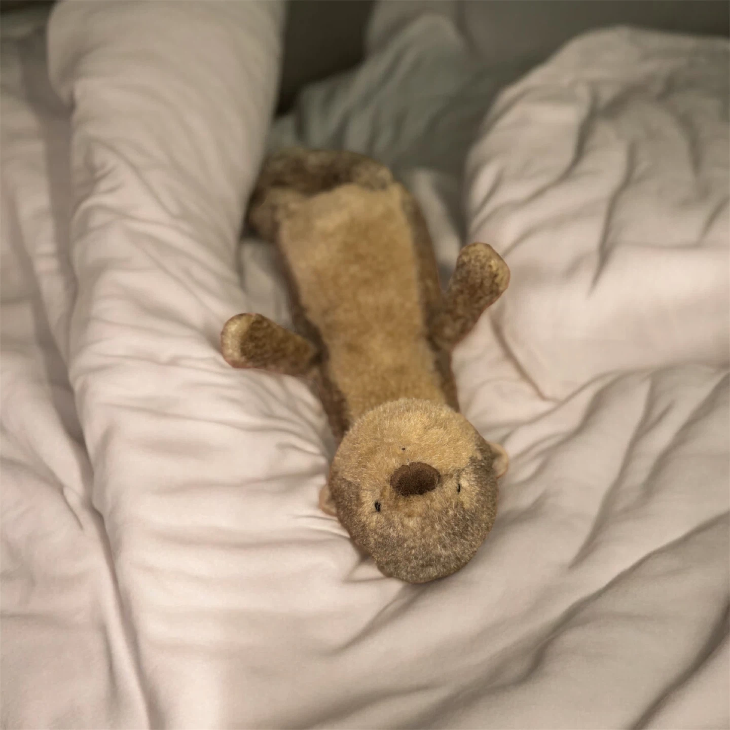Brooke Otter Jellycat - photo 3