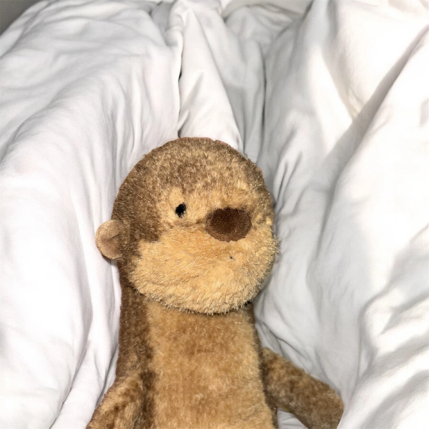 Brooke Otter Jellycat - photo 4