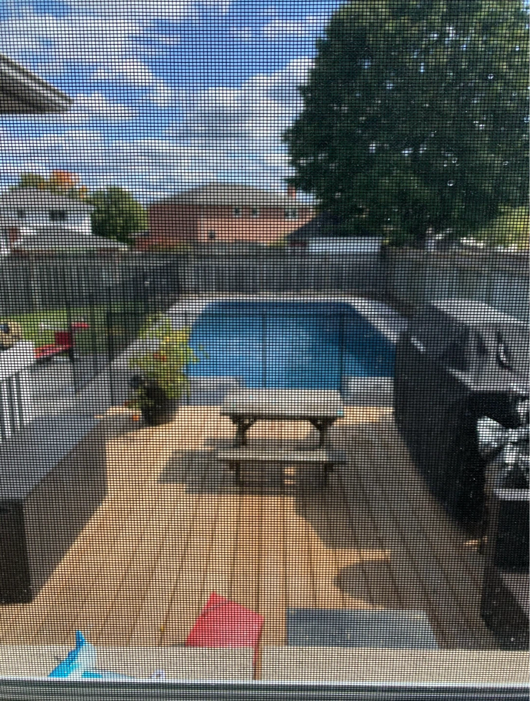 Pool Safety Fence Gate - photo 2
