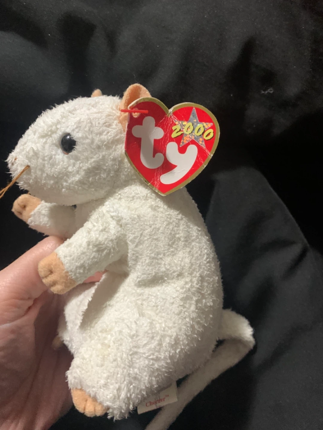 $15 Ty mouse - photo 2