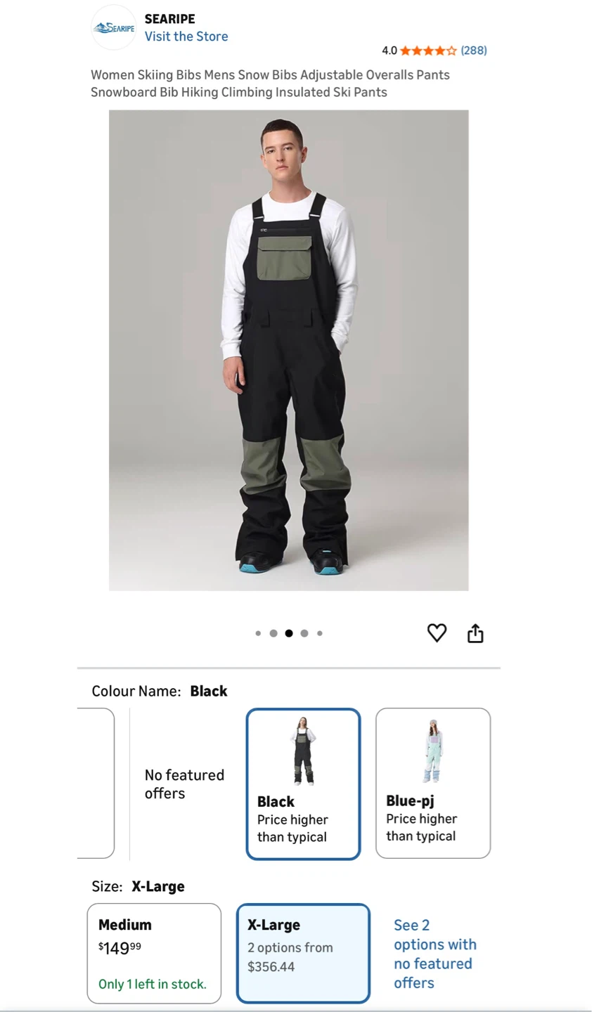 SEARIPE Women's Ski Bib Pants - Black - X-Large