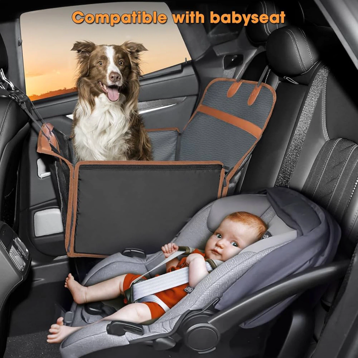 MIXJOY Hard Bottom Dog Car Seat for Medium Dogs - photo 2