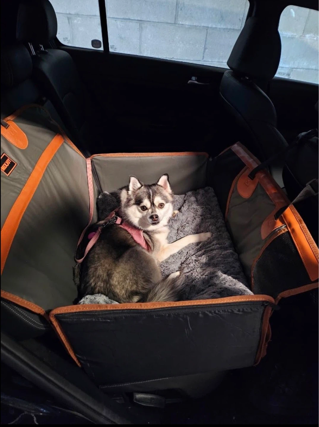 MIXJOY Hard Bottom Dog Car Seat for Medium Dogs - photo 5