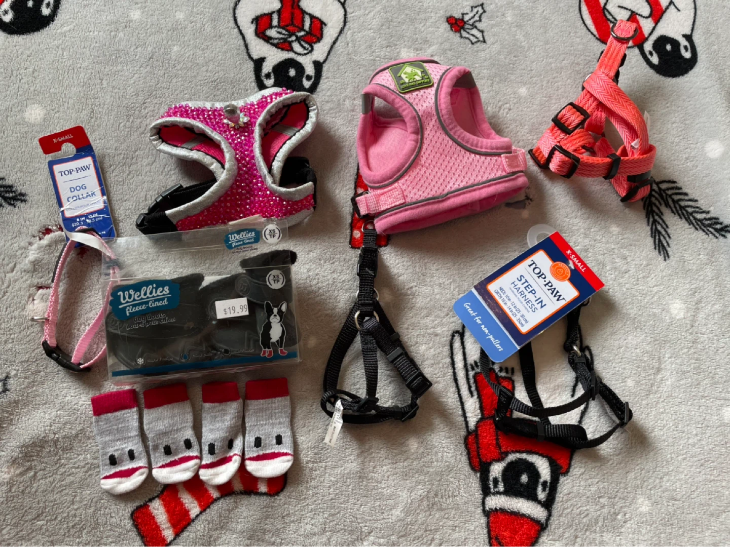 Tiny Dog Accessories Lot