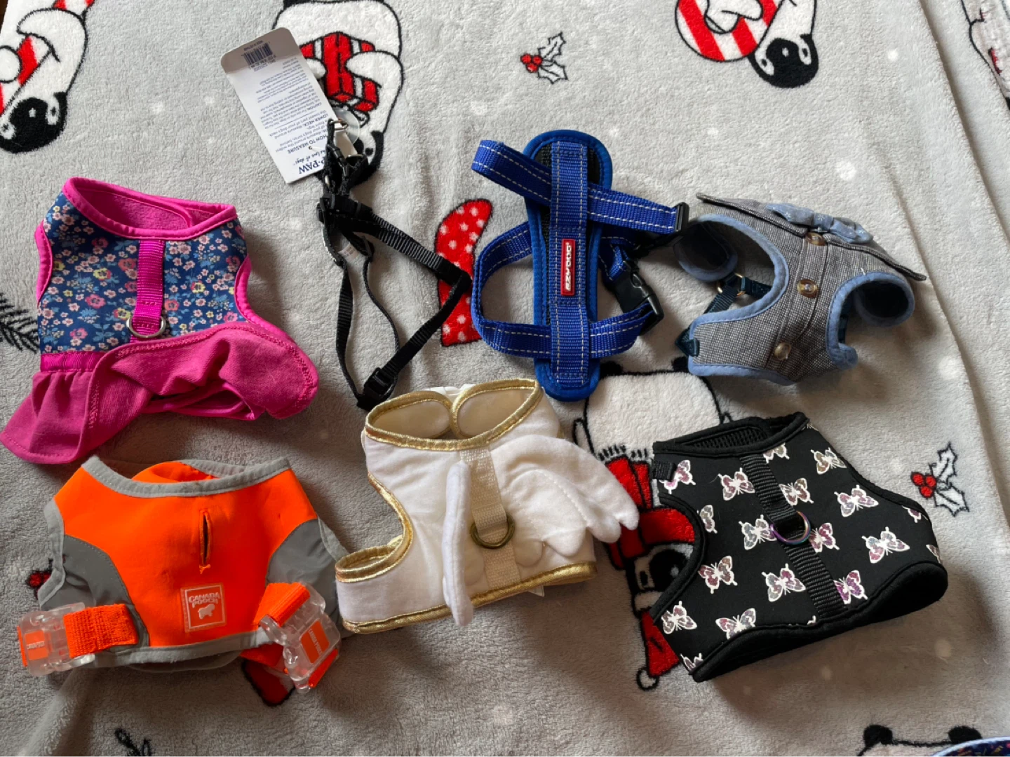 XS Dog Harnesses Lot