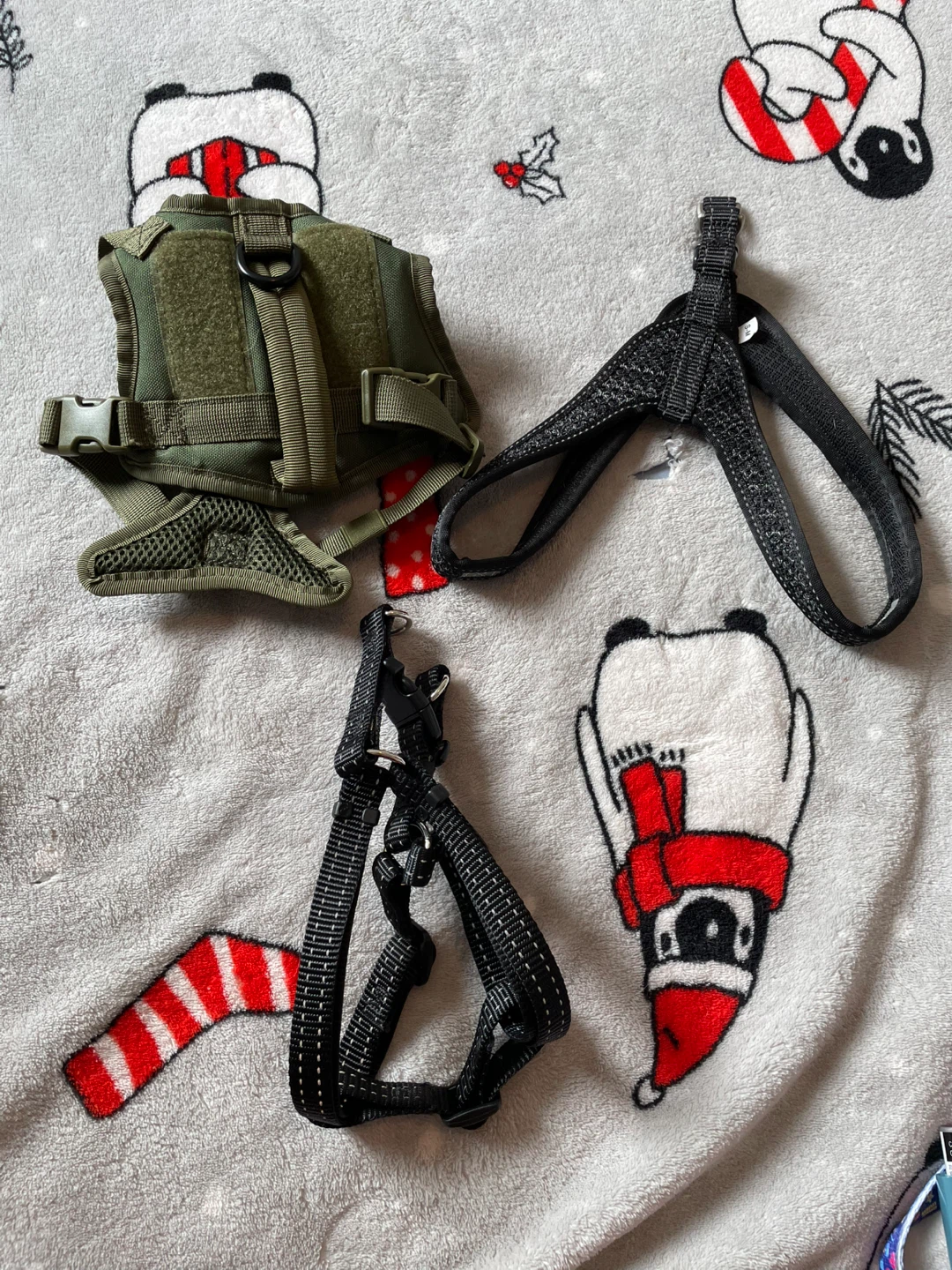 Small Dog Harnesses Lot
