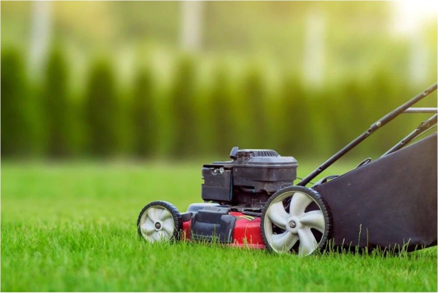 Grass cutting services