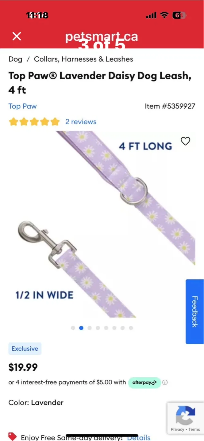 Top Paw Lavender Daisy Dog Leash - 4 ft - photo 3