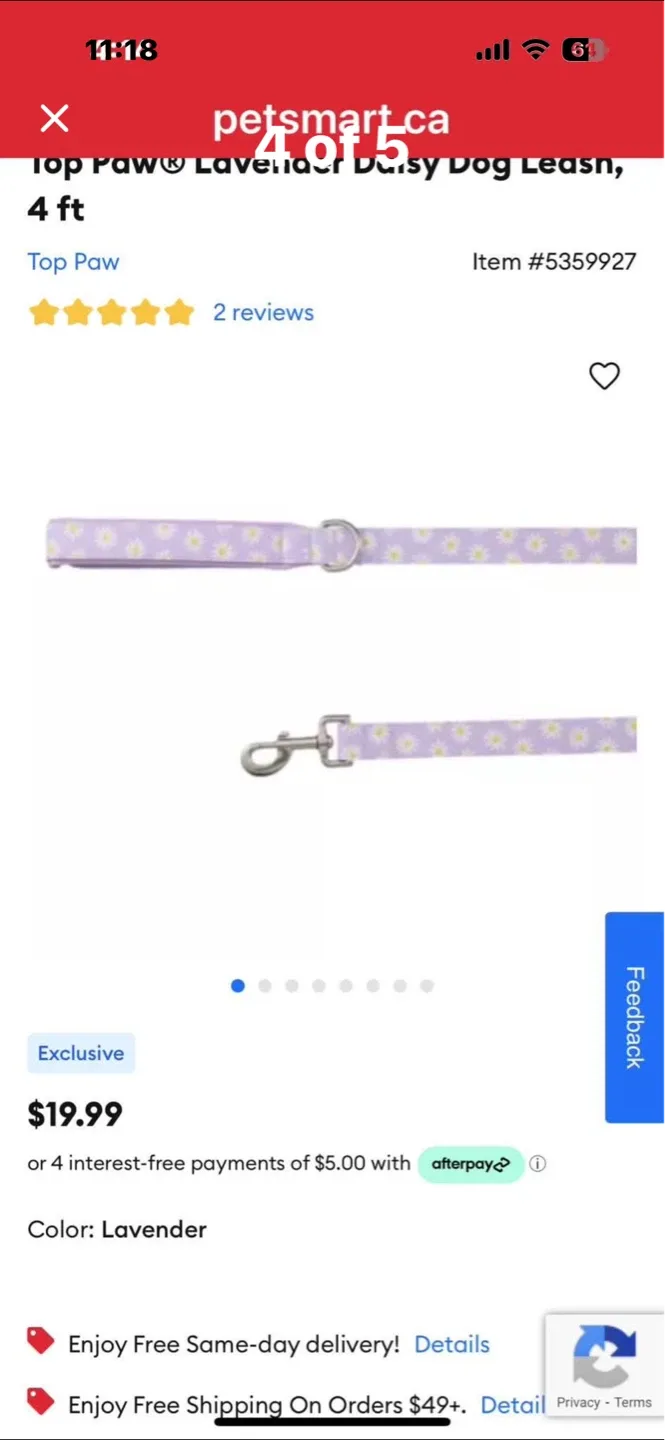 Top Paw Lavender Daisy Dog Leash - 4 ft - photo 4