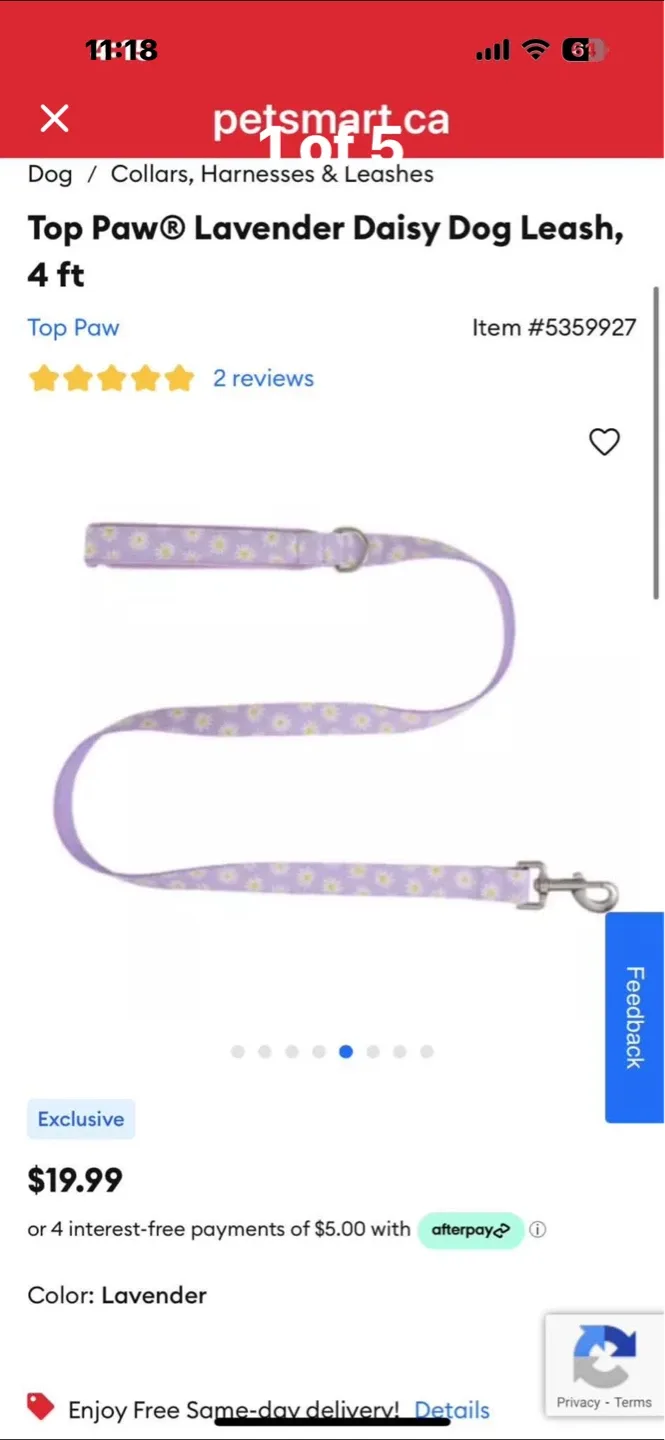 Top Paw Lavender Daisy Dog Leash - 4 ft