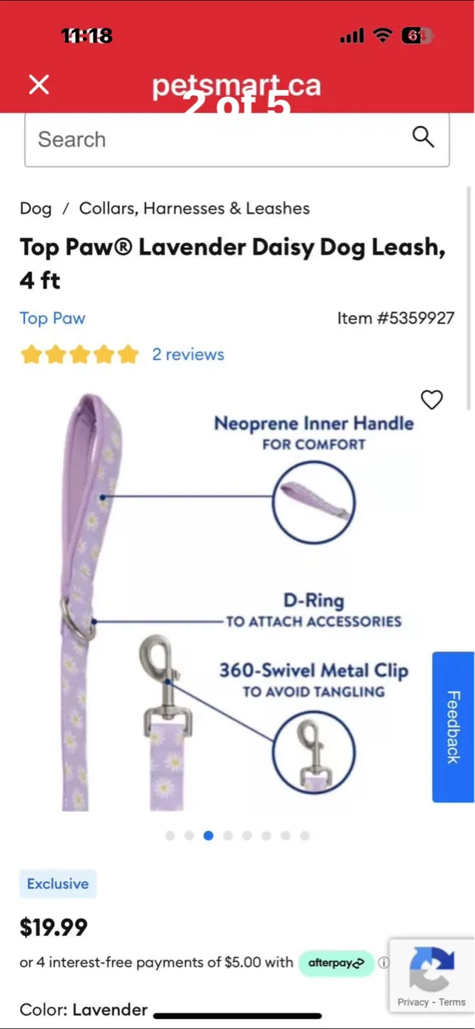 Top Paw Lavender Daisy Dog Leash - 4 ft - photo 2