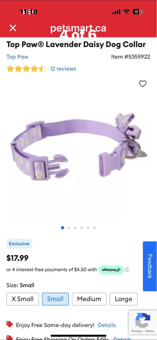 Top Paw Lavender Daisy Dog Collar - Size Small - photo 4