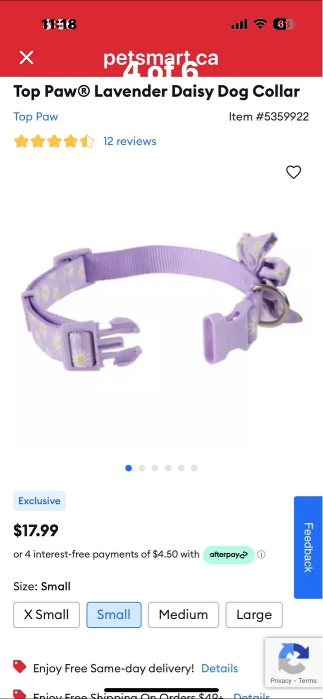 Top Paw Lavender Daisy Dog Collar - Size Small - photo 4