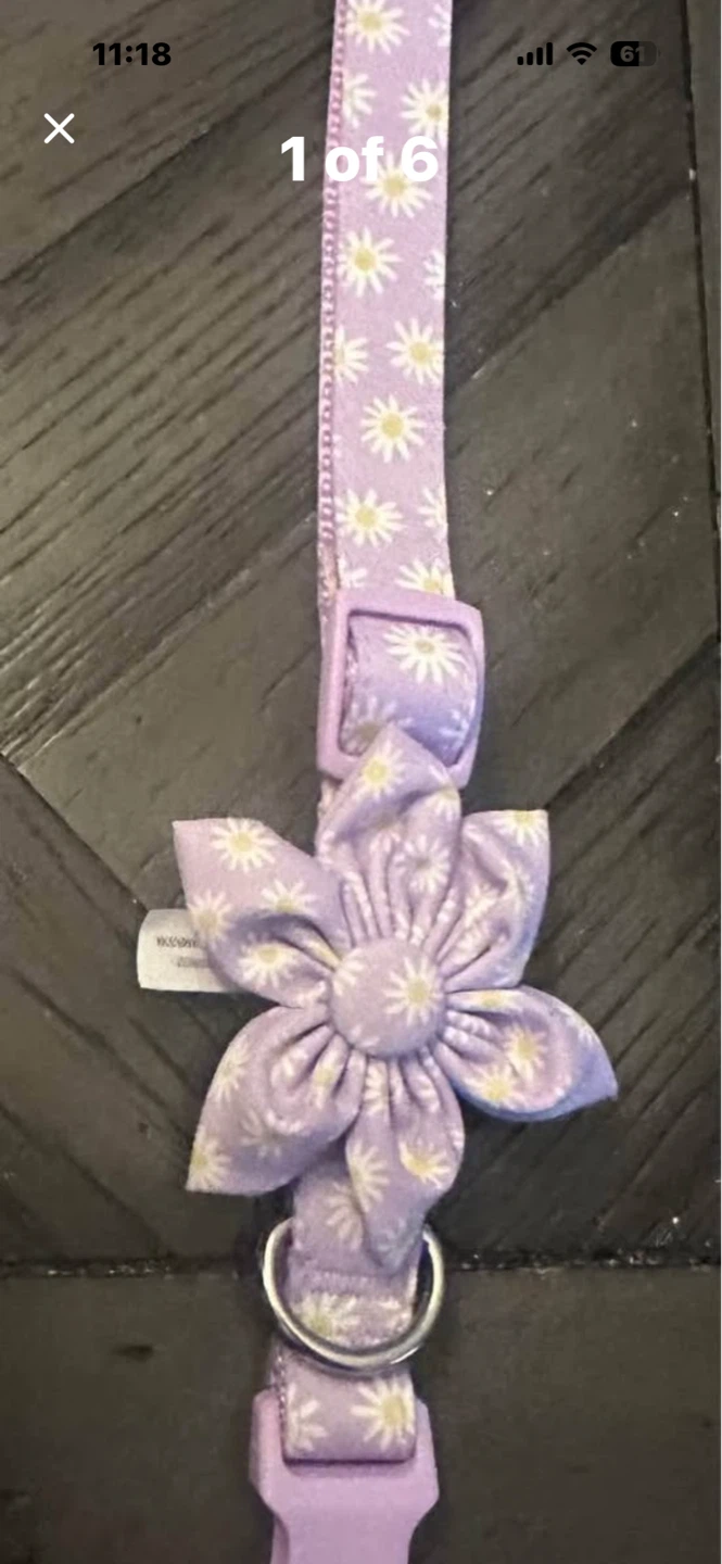 Top Paw Lavender Daisy Dog Collar - Size Small