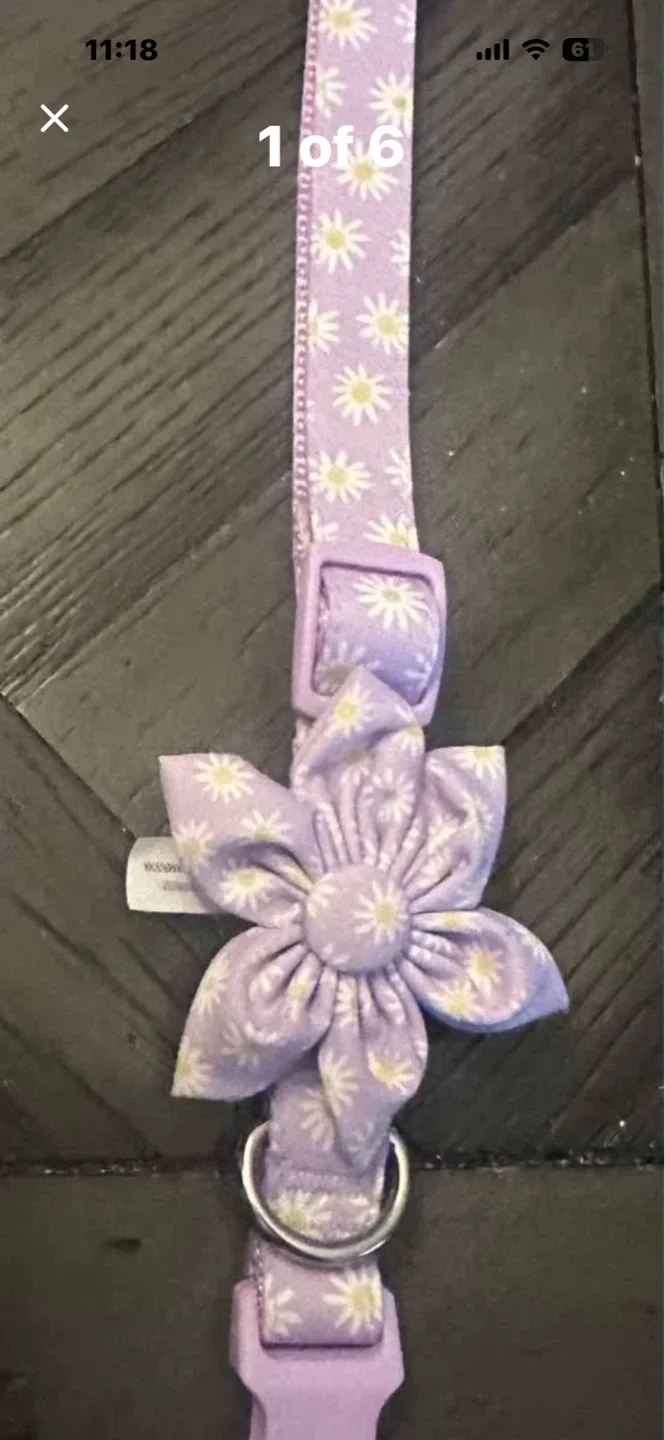 Top Paw Lavender Daisy Dog Collar - Size Small