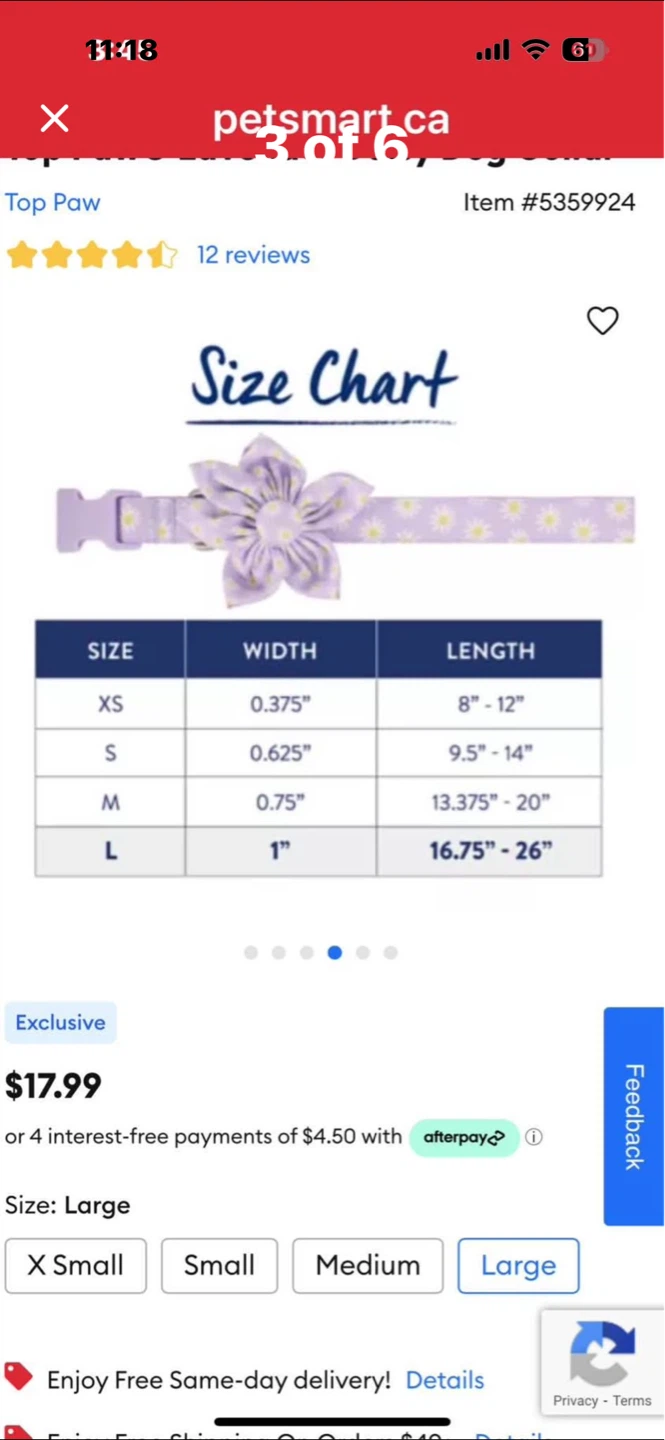Top Paw Lavender Daisy Dog Collar - Size Small - photo 3