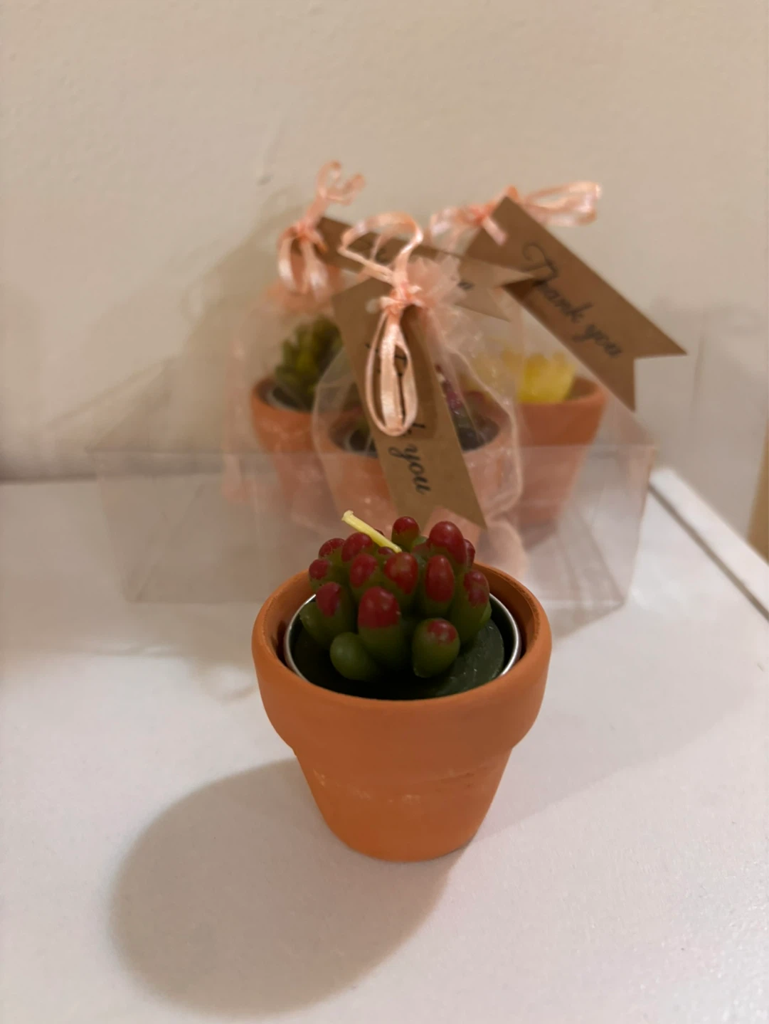 10 Cute plant shape candles - photo 3