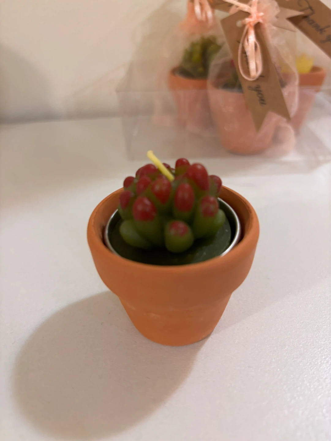 10 Cute plant shape candles