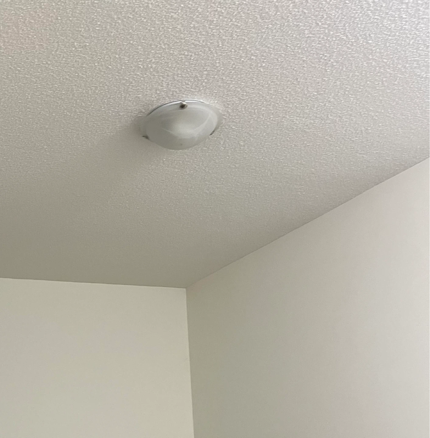 Flush Mount Ceiling Light Fixture