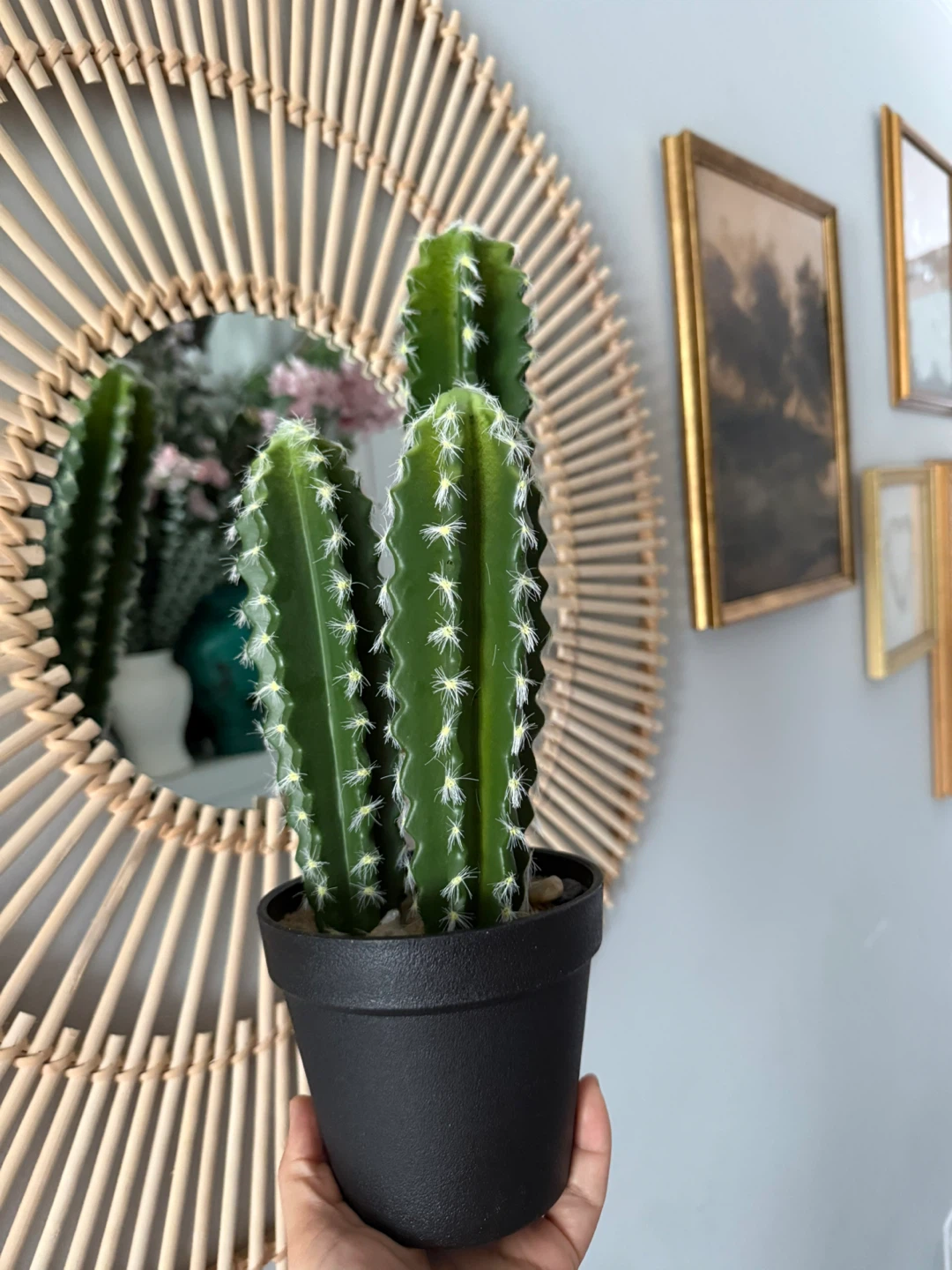 Artificial Cactus Plant