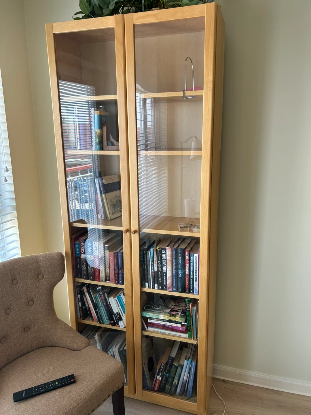 IKEA Billy Bookcases with Doors