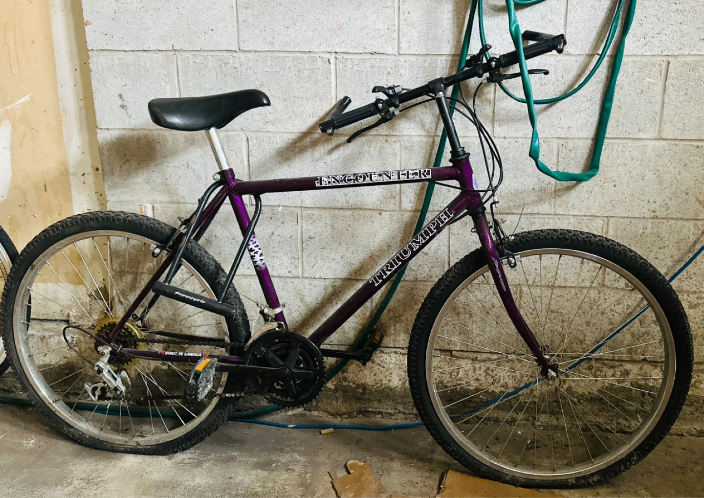 Triumph Mountain Bike