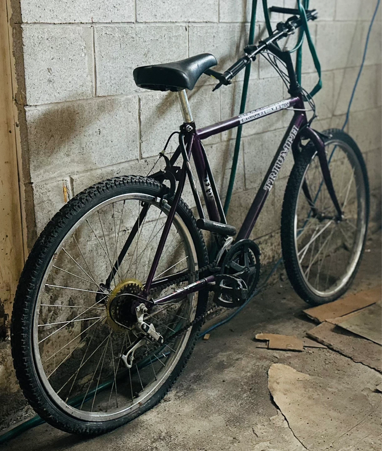 Triumph Mountain Bike - photo 2