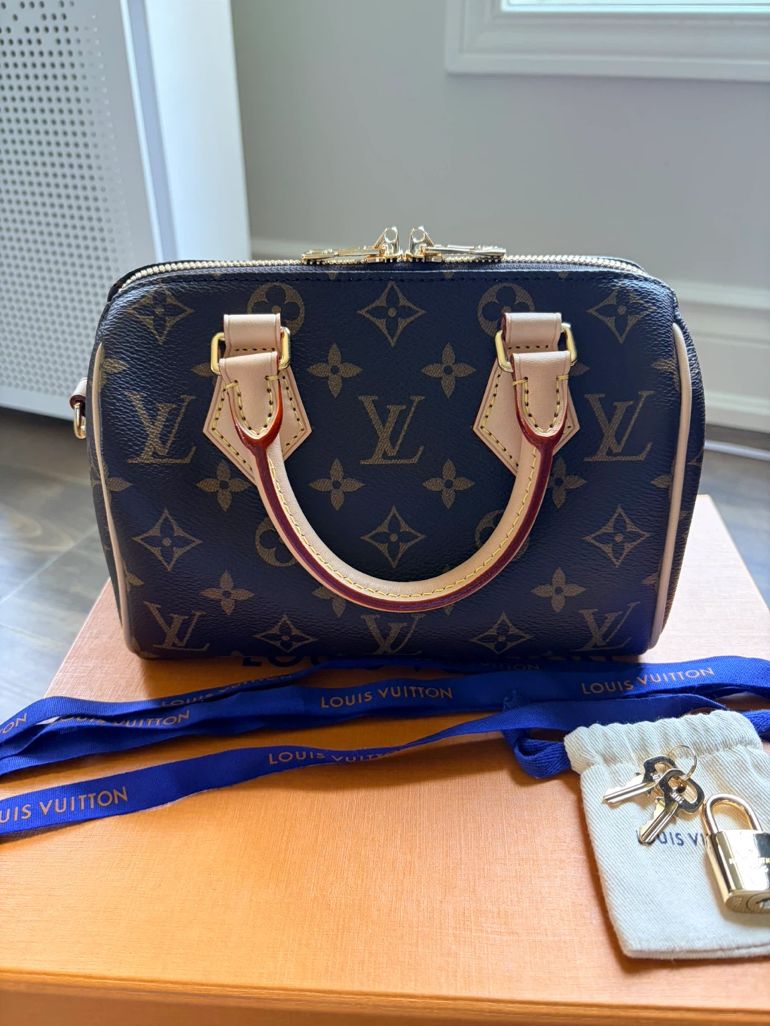 Louis Vuitton Speedy Bandouliere 20 - photo 2