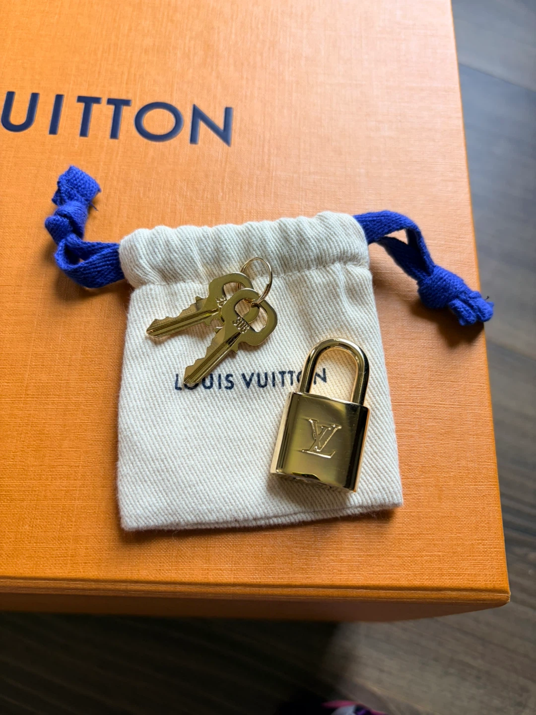 Louis Vuitton Speedy Bandouliere 20