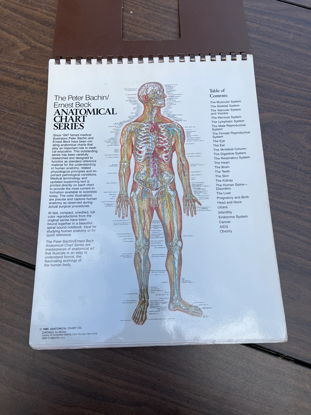 The Anatomical Chart Series by Peter Bachin and Ernest Beck - photo 2