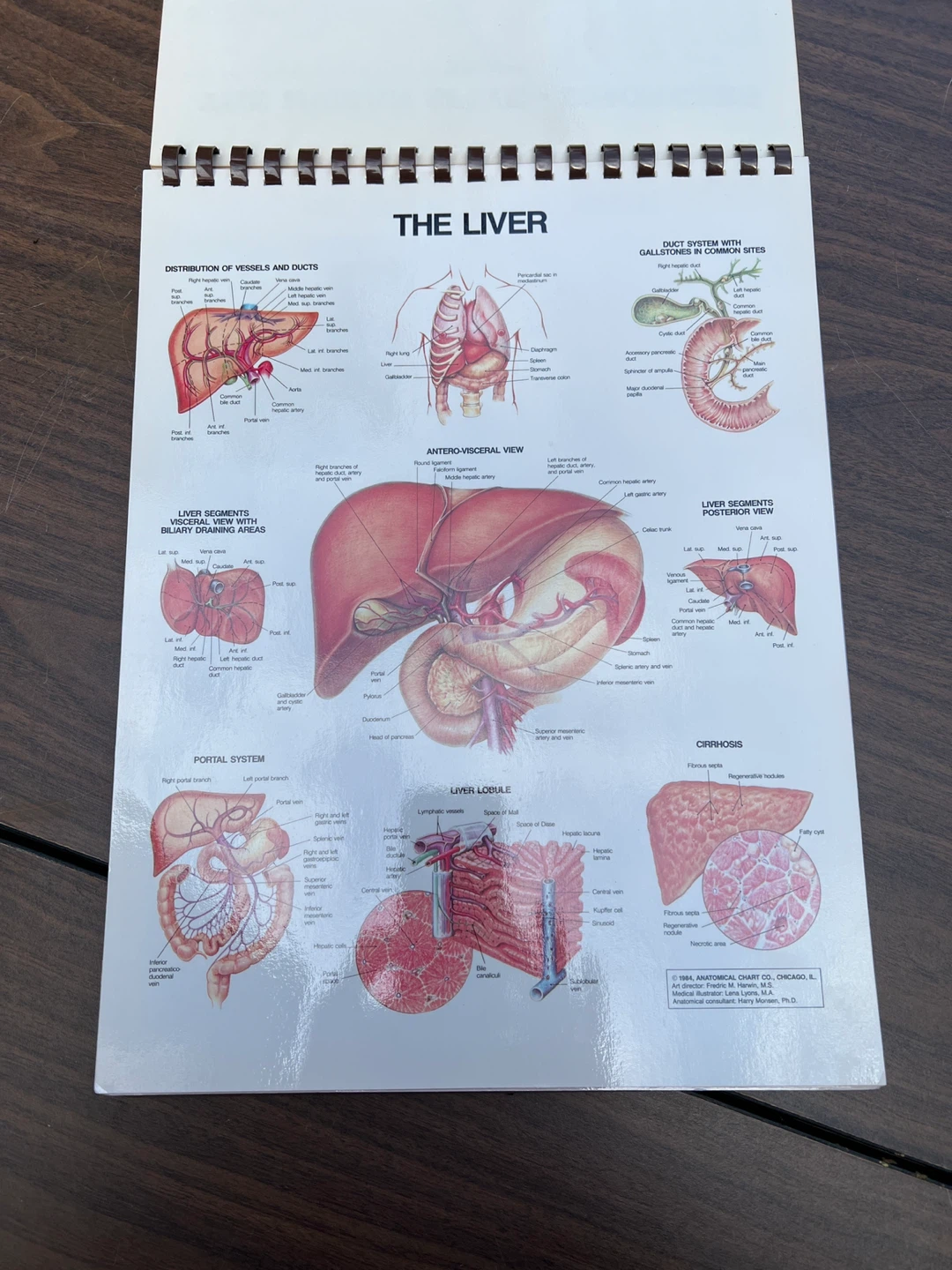The Anatomical Chart Series by Peter Bachin and Ernest Beck - photo 4