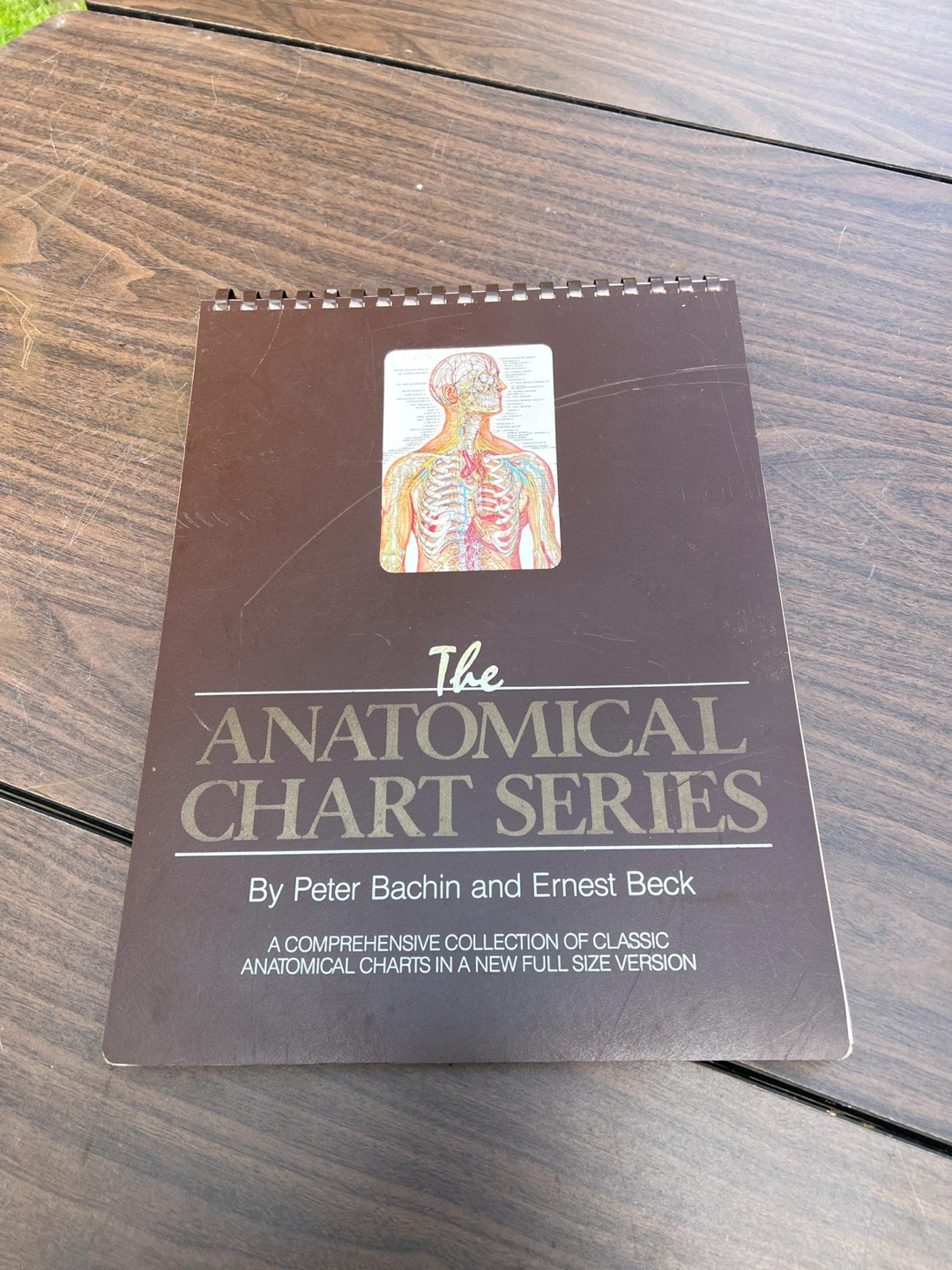 The Anatomical Chart Series by Peter Bachin and Ernest Beck