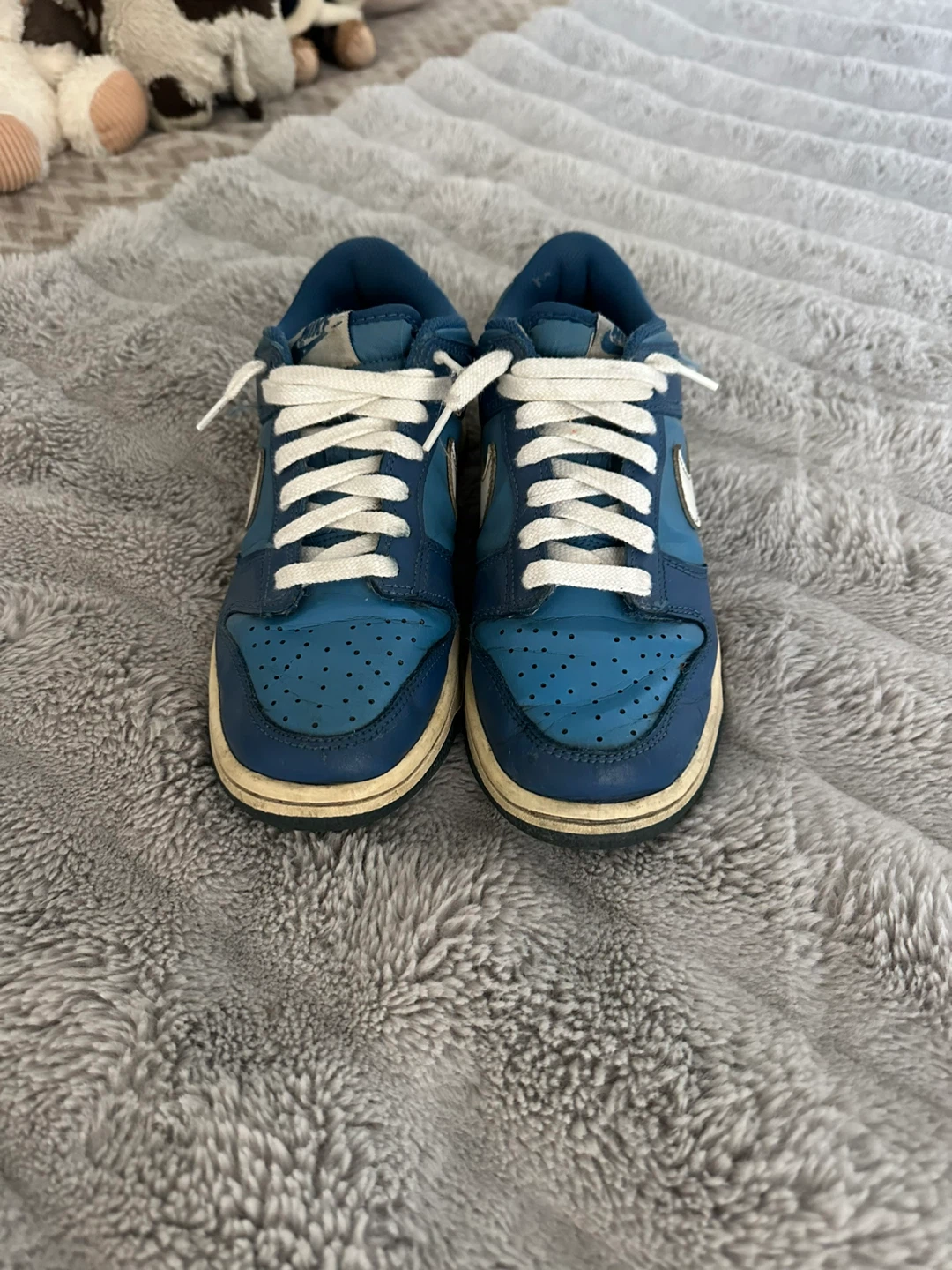 Nike Dunk Low Blue and White