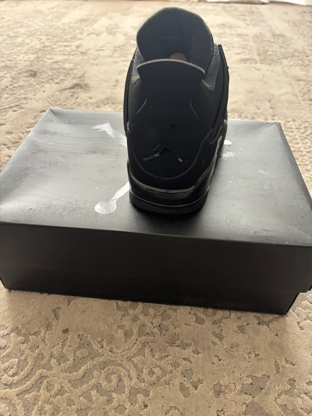 2019 black cats Jordan 4