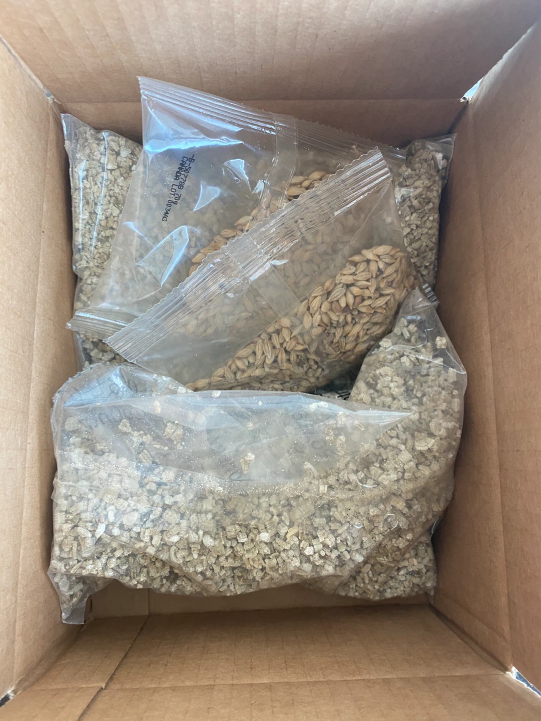 Catit Grass Kit - photo 2