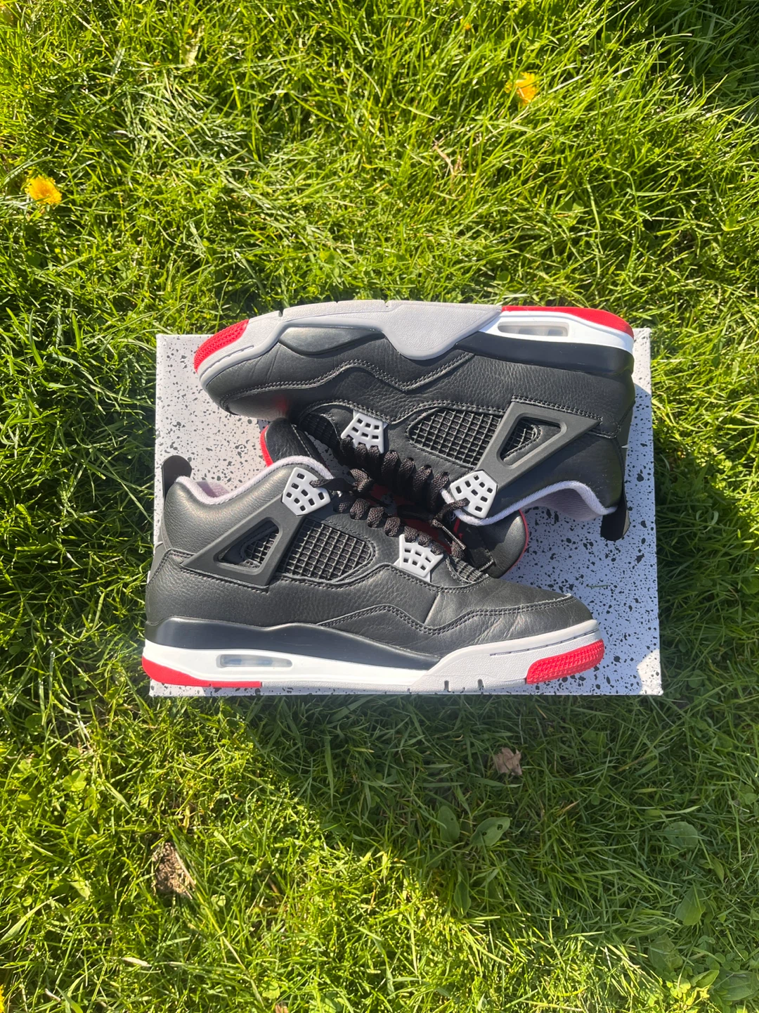 Jordan 4 bred reimagined