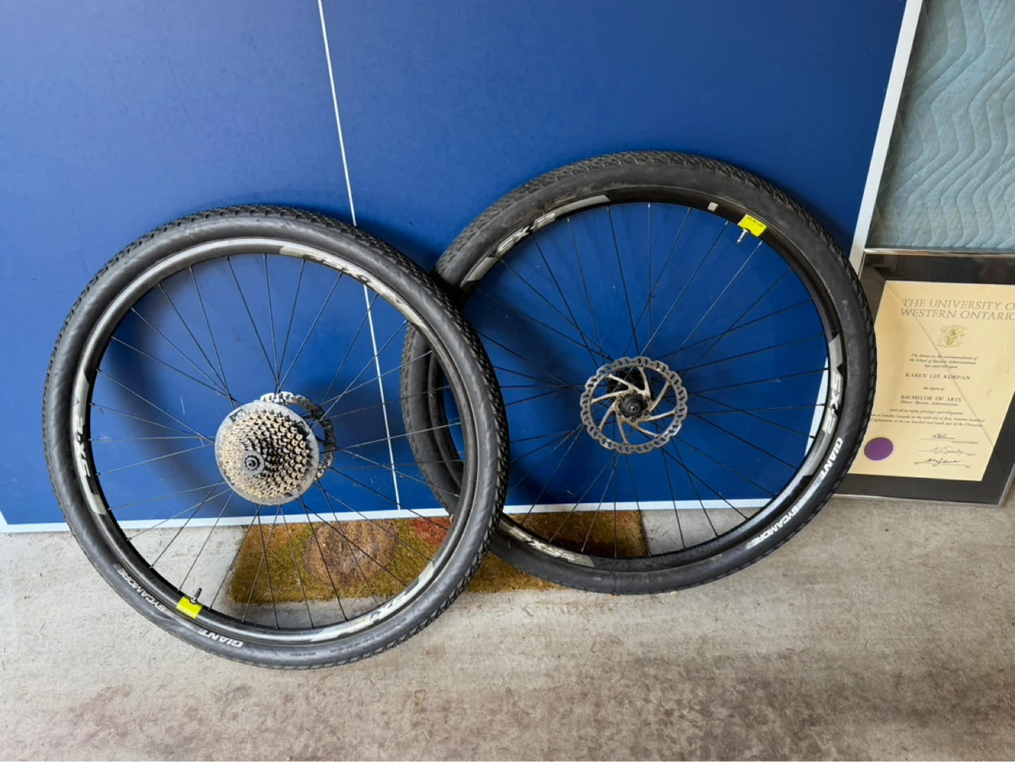 Giant SX-2 Bicycle Wheels