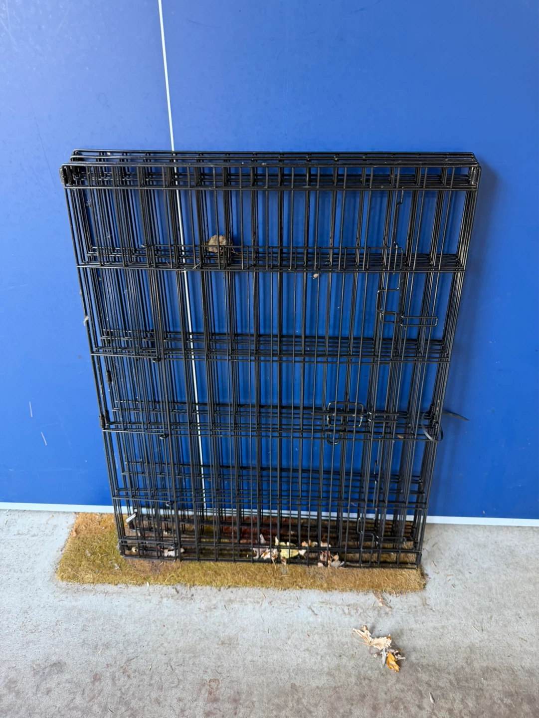Black Metal Dog Crate