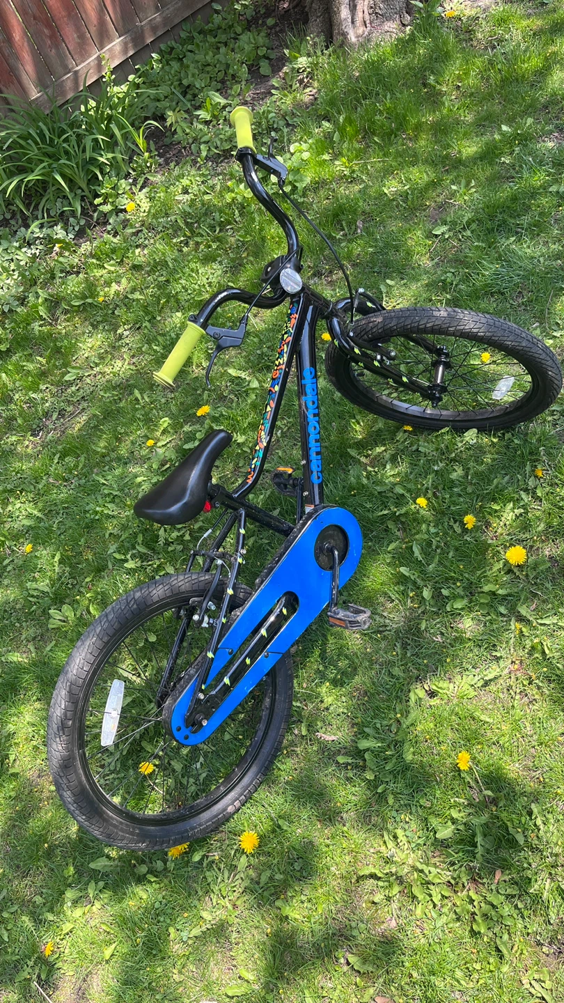 Cannondale Kids Bike - photo 2