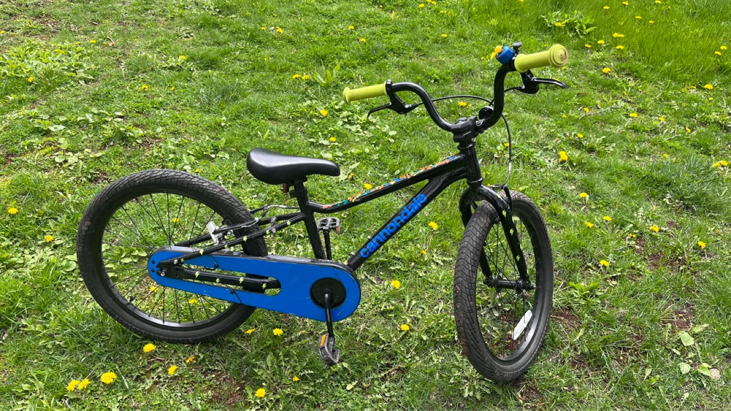 Cannondale Kids Bike