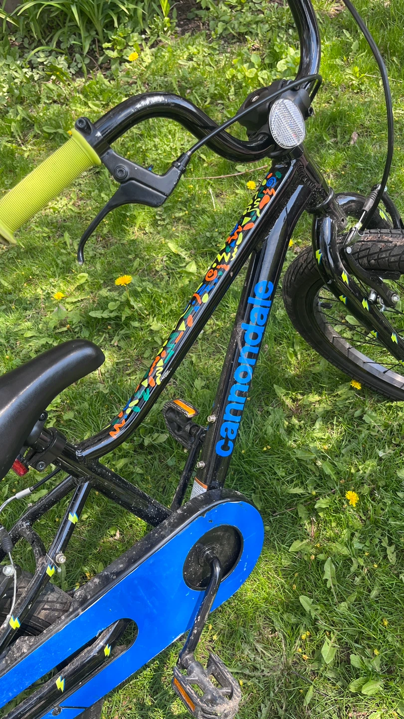 Cannondale Kids Bike - photo 3