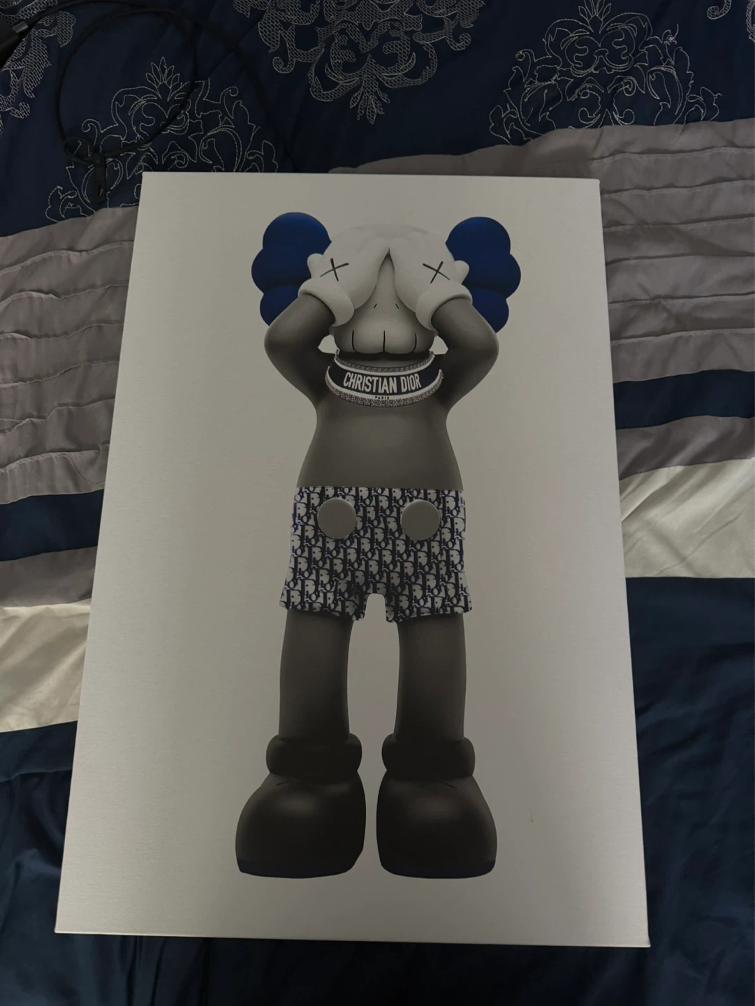 KAWS Companion Artwork "Christian Dior"