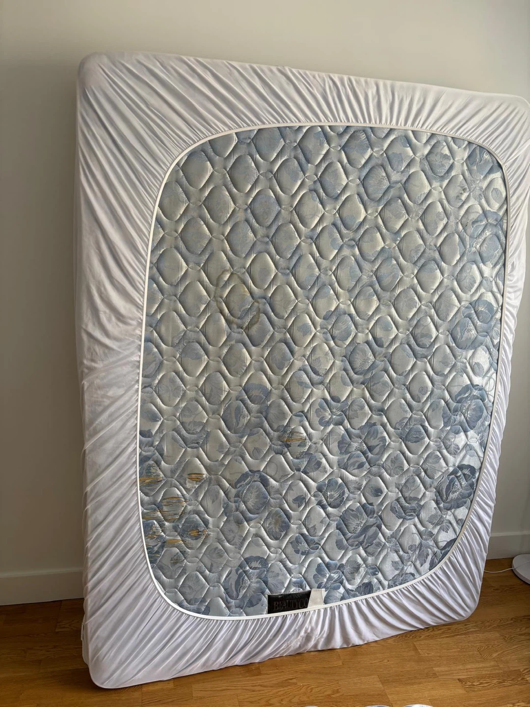 FREE-Simmons Beautyrest Mattress sofa- Need Gone ASAP