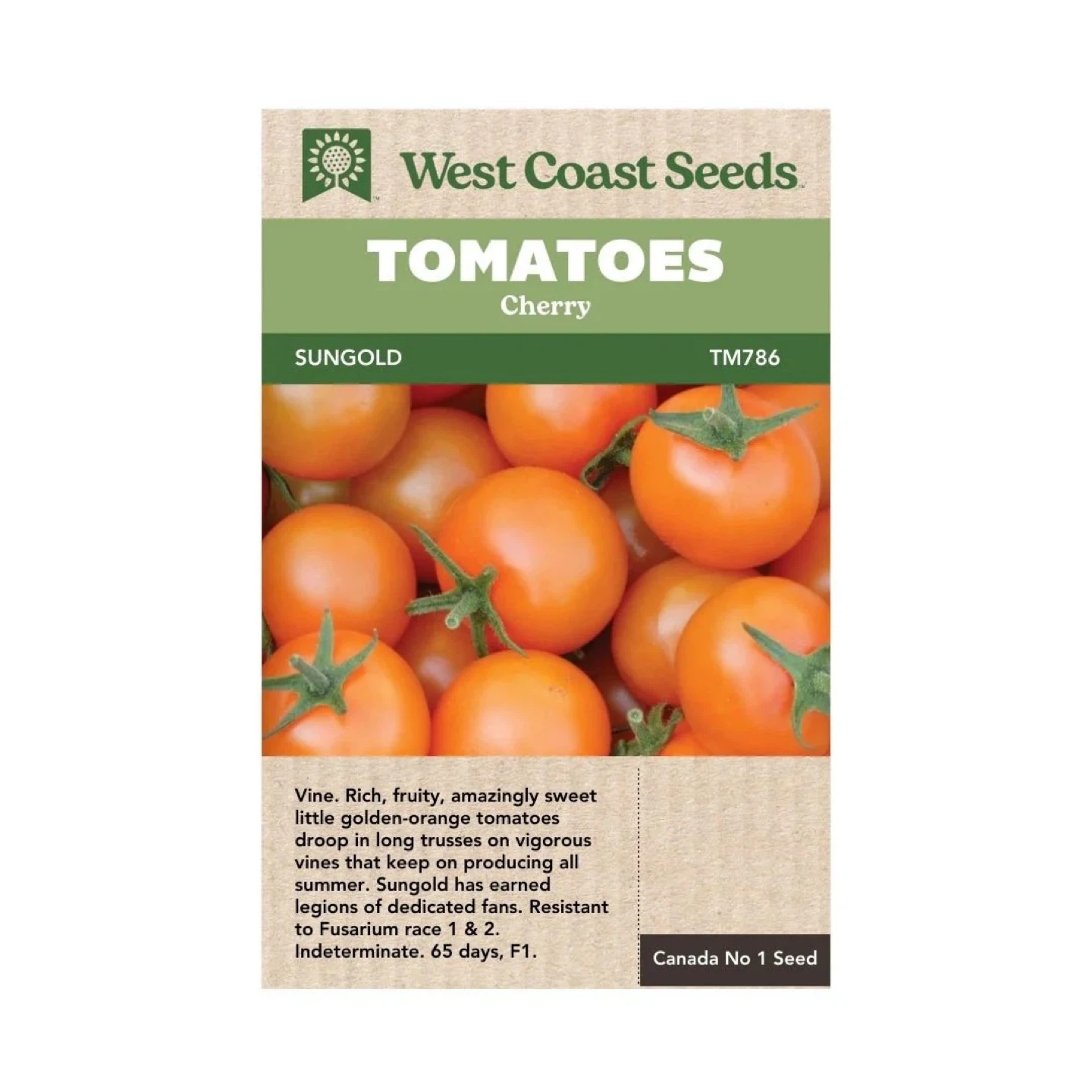 Sungold Cherry Tomato Starter Plant - photo 2