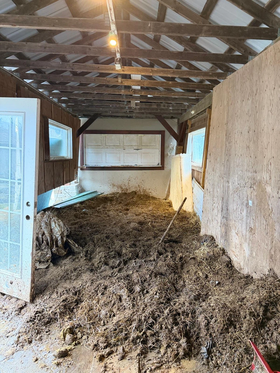 Cow manure for garden use - photo 2