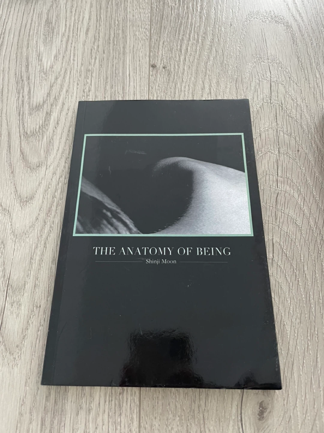 The Anatomy of Being by Shinji Moon