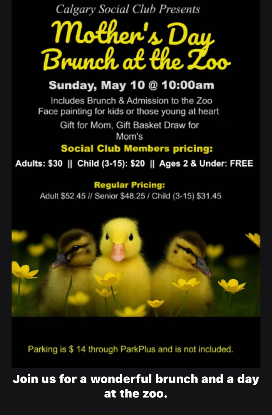 Mother's Day Brunch at the Zoo Ticket