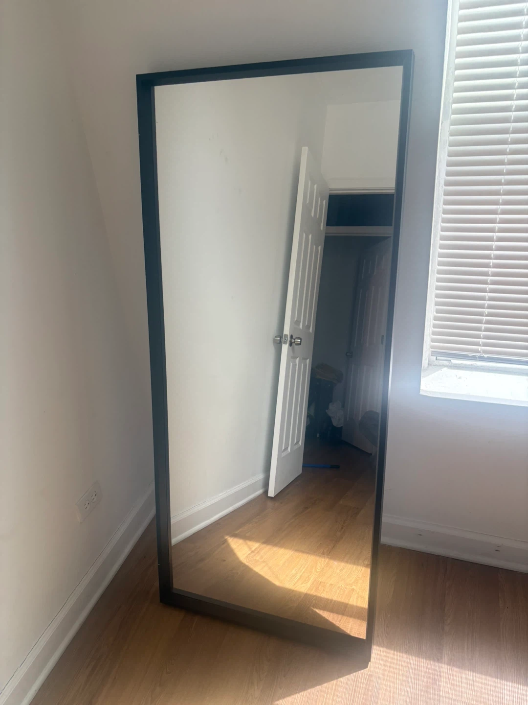Full Length Mirror - photo 2