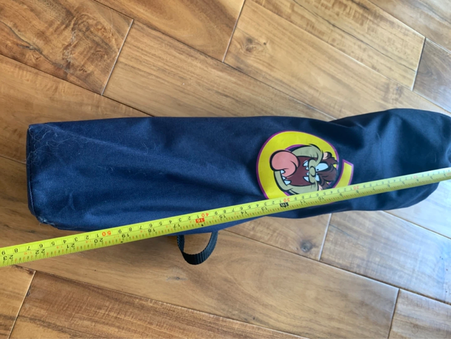Child collector Looney Tunes Tasmanian Devil Folding Camp Chair - photo 4